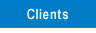 Leverage Consulting - Clients