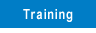 Leverage Consulting - Training