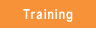 Leverage Consulting - Training