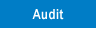 Leverage Consulting - Audit