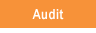 Leverage Consulting - Audit