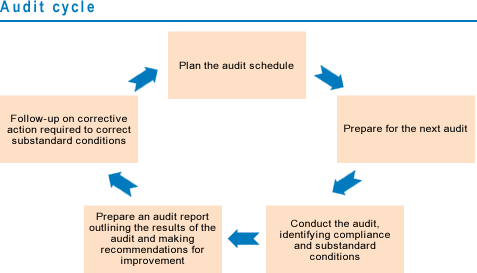 Audit cycle